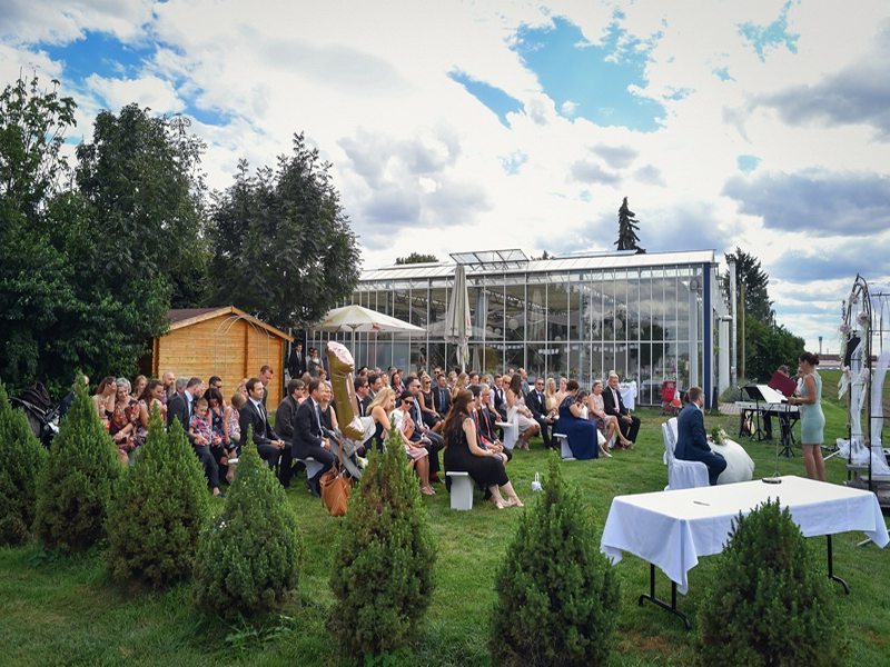 Freie Trauung im Gwächshaus und professionelle Hochzeitsfotos. DER Hochzeitsfotograf