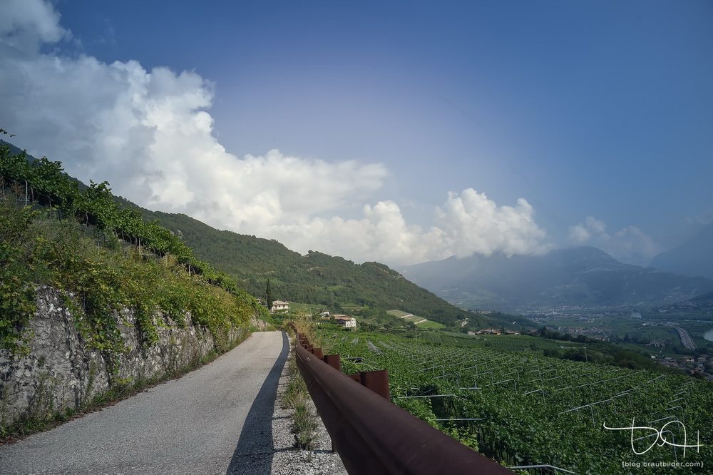 Hochzeit am Gardasee - Weinberge im Trentino Hochzeit am Gardasee - Weinberge im Trentino